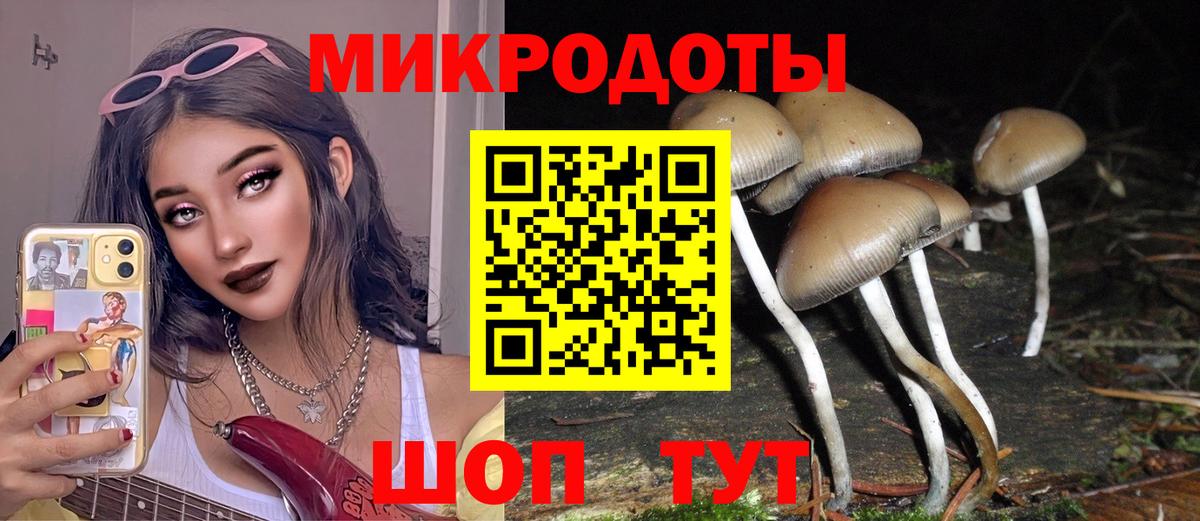 Псилоцибиновые грибы Psilocybine cubensis  наркошоп  Оренбург  Вход с VPN 